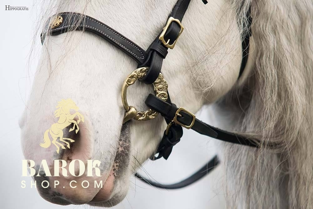 Portuguese Bridle "Lusitania"