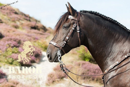 Portuguese Bridle "Valiente"