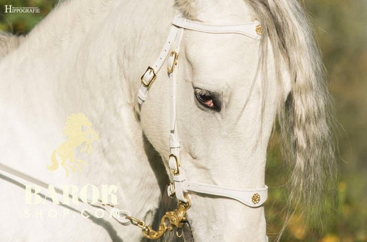 Portuguese Bridle "Lusitania"