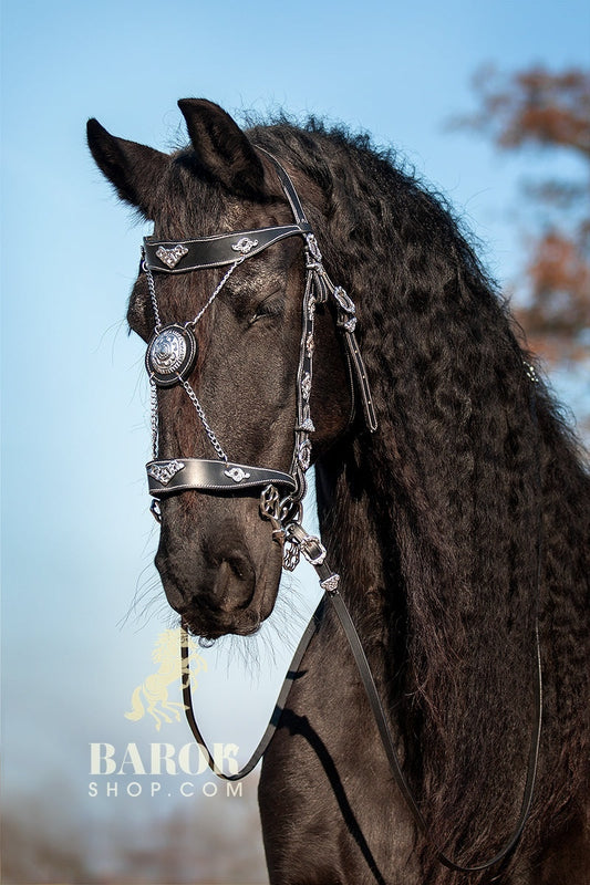 barok hoofdstel met ornament, gekruisd x frontriem goud zilver ketting extra groot full extra full wit stiksel sier stiksel