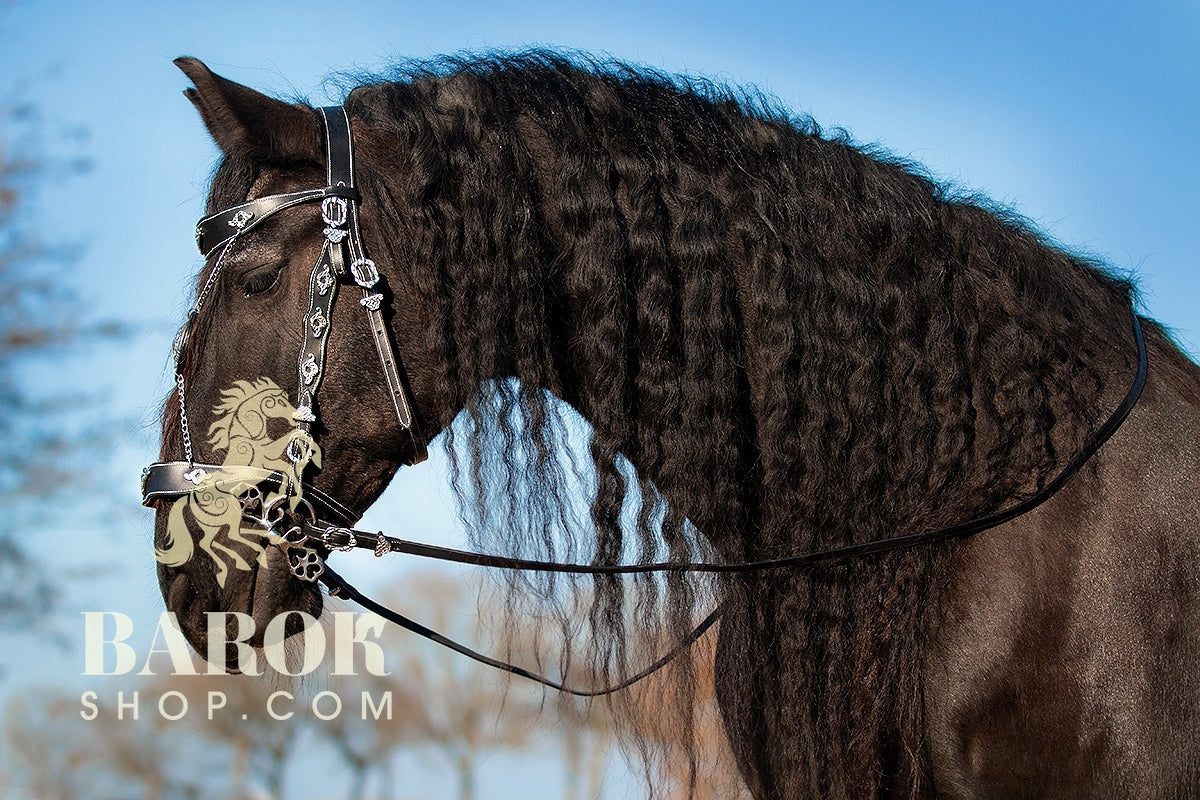 barok hoofdstel met ornament, gekruisd x frontriem goud zilver ketting extra groot full extra full wit stiksel sier stiksel