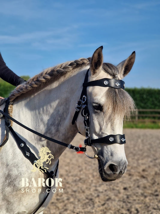 Portuguese Bridle "Ceylan"