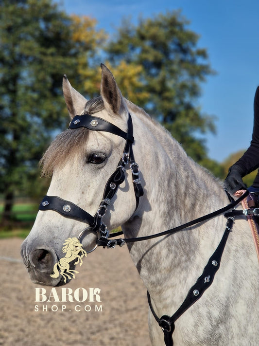 Portuguese Bridle "Ceylan"