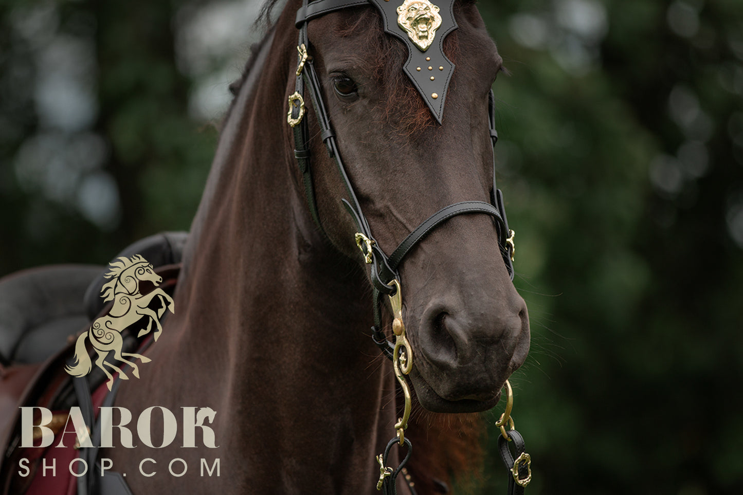 Bridle "Lionheart"