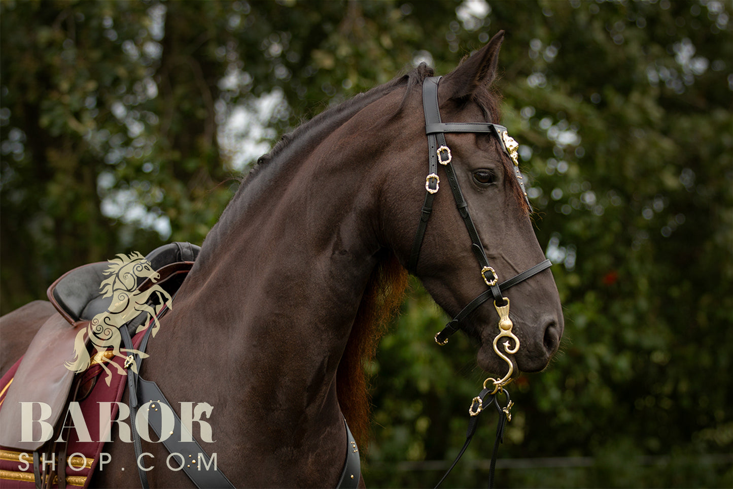 Bridle "Lionheart"