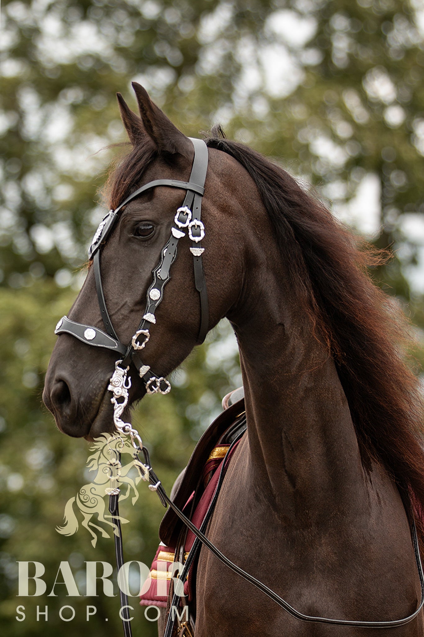 X-Browband "Ygritte"