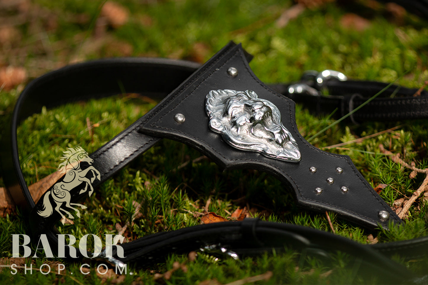 Bridle "Lionheart"