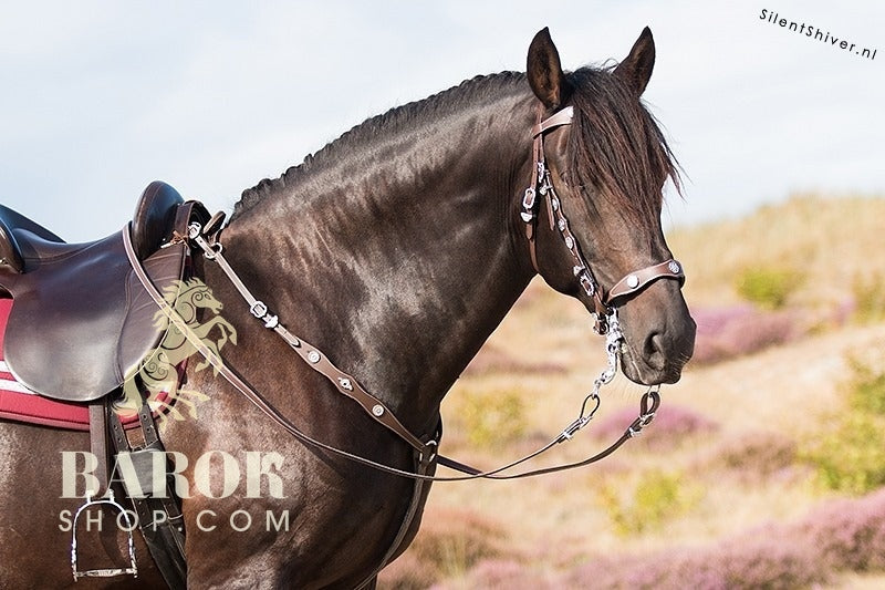 Portuguese Breastplate "Valiente"