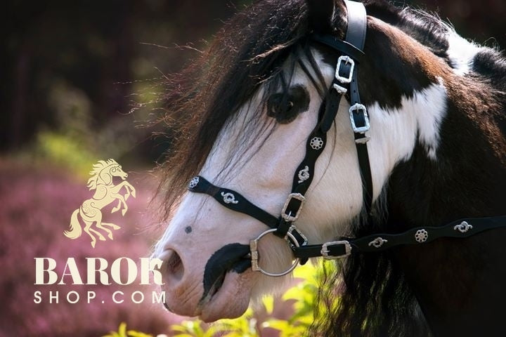 Portuguese Bridle "Graciano"