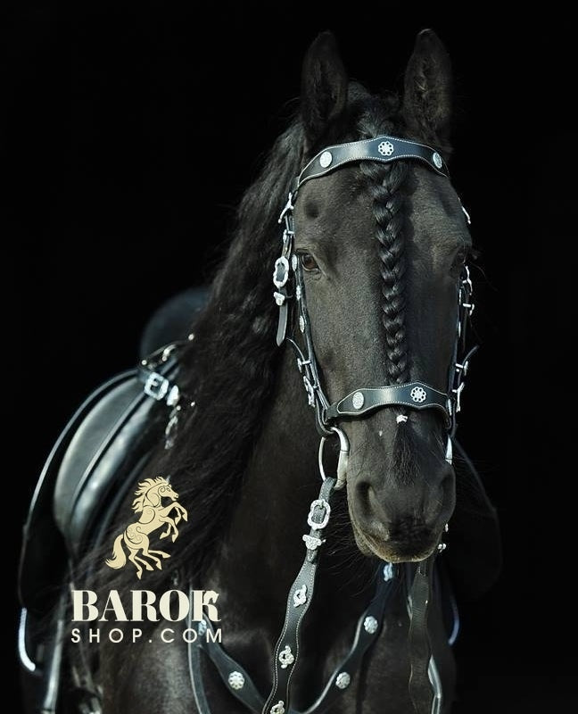 Portuguese Bridle "Valiente"