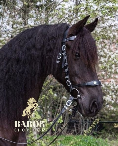 Portuguese Bridle "Valiente"