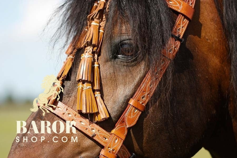 Spanish Bridle "Repujada"