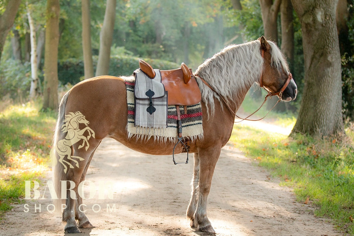 Vaquera Wool Saddle Bag