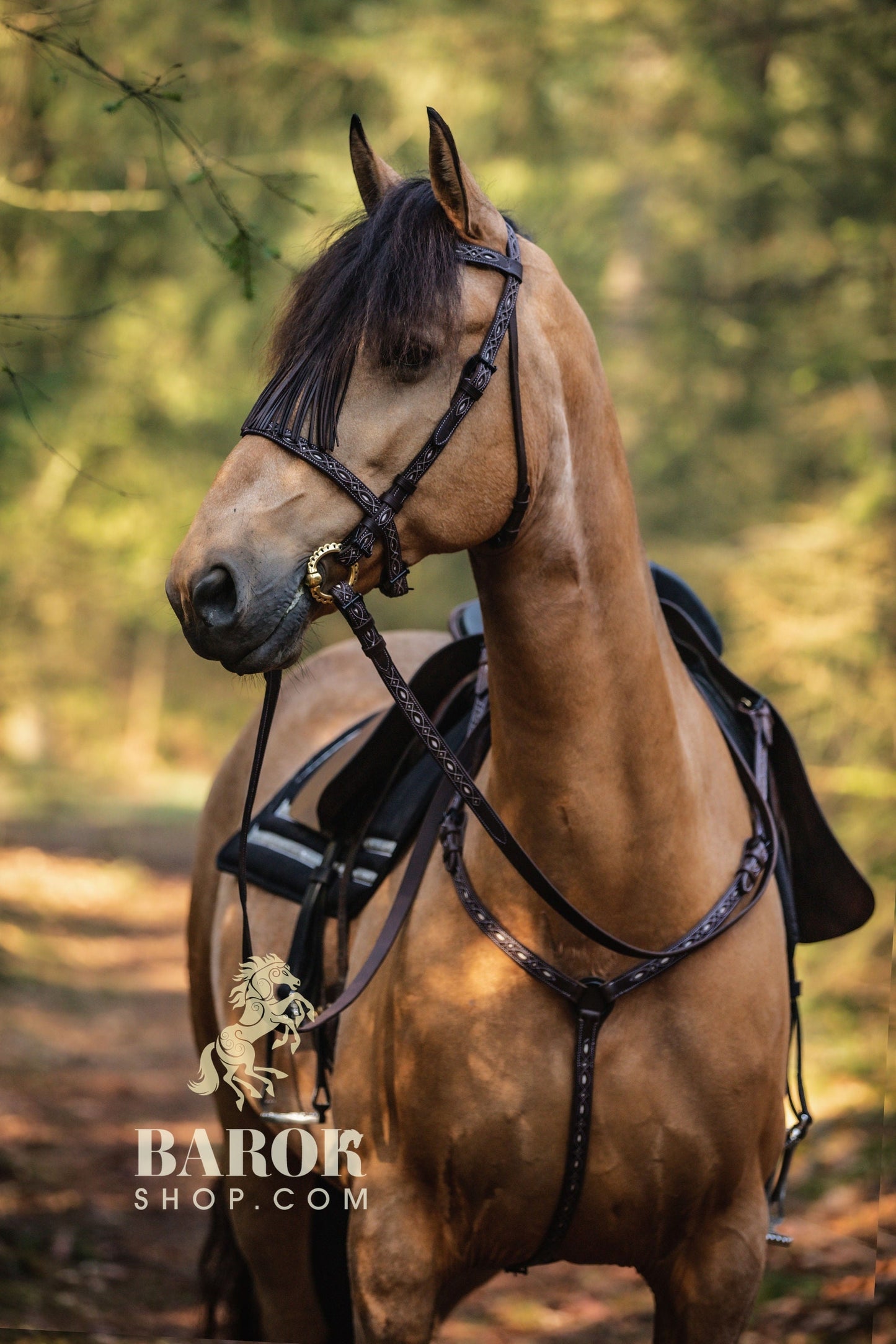 Spanish Breastplate "Repujada"