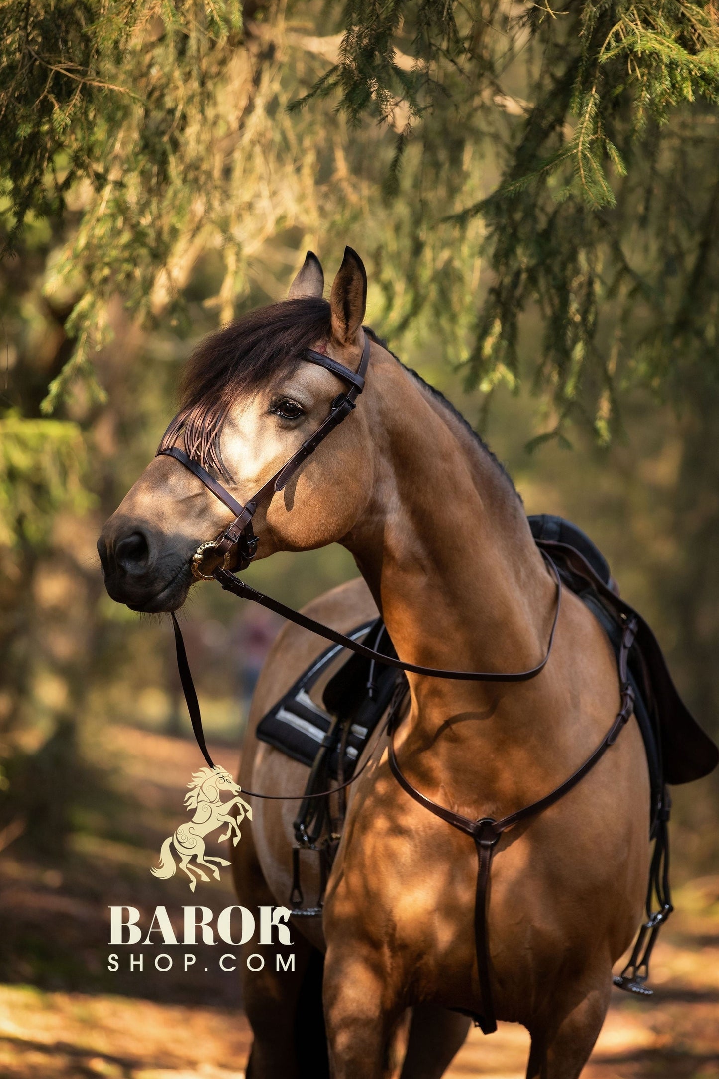 Spanish Bridle "Cordoba"