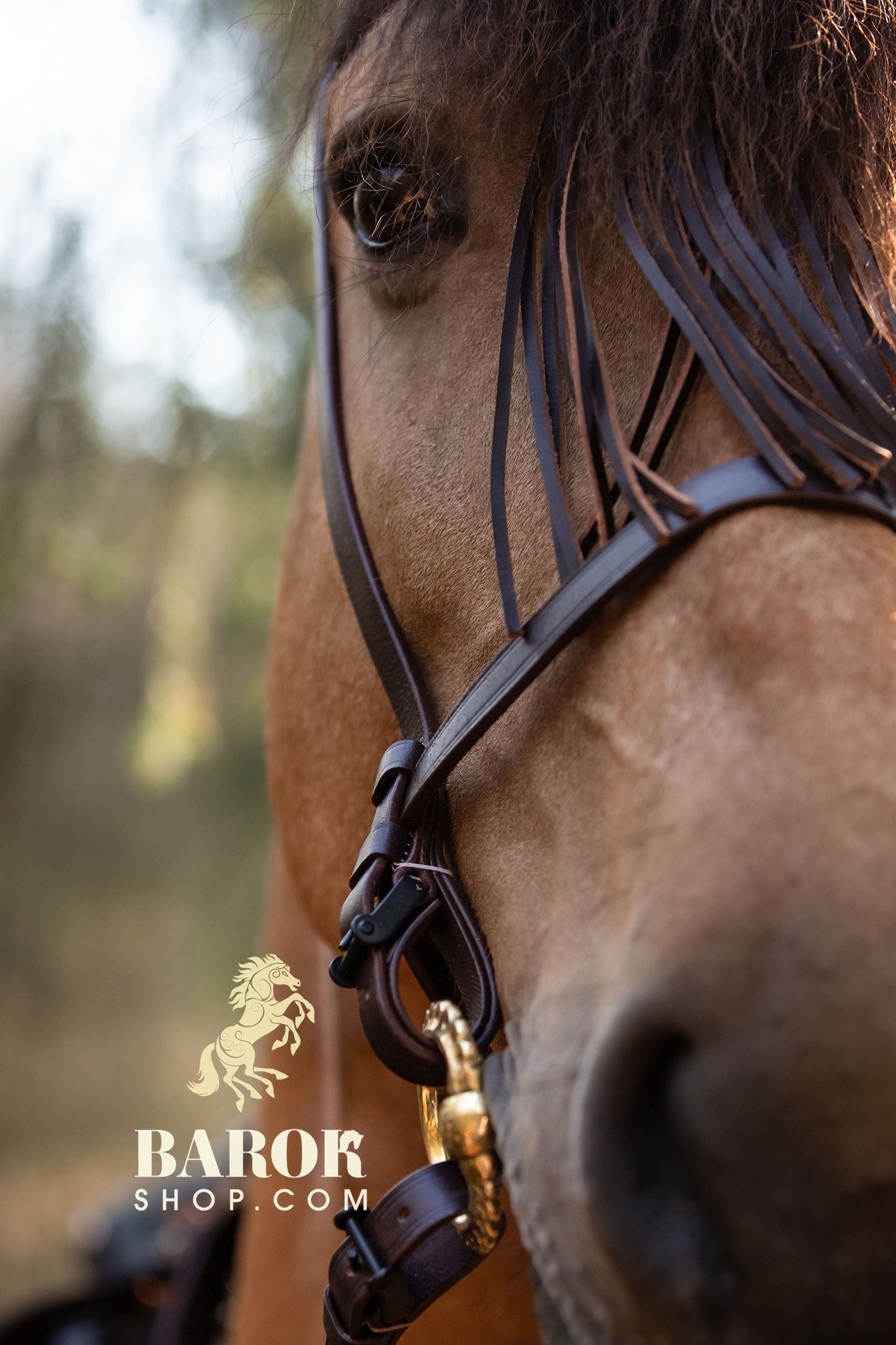 Spanish Bridle "Cordoba"