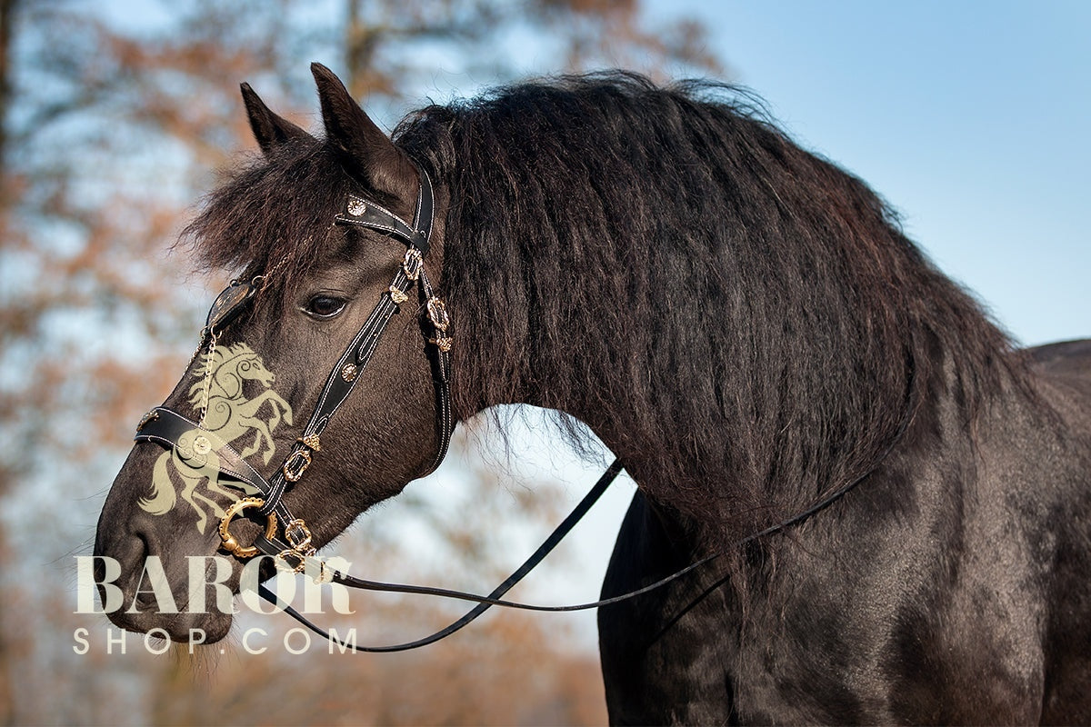 Portuguese Bridle "Valentino"