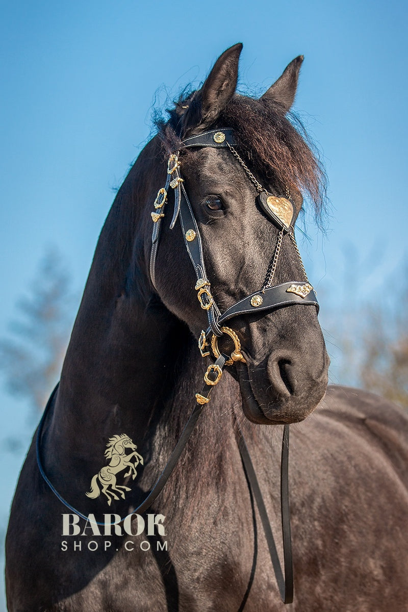 Portugiesischer Zaum "Valentino"