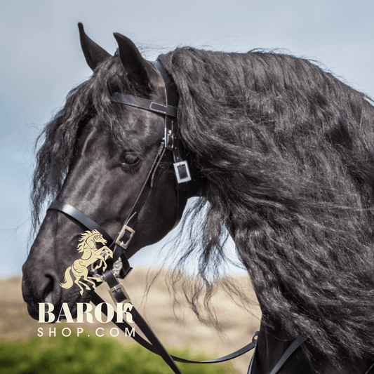 Portuguese Bridle "Porto"